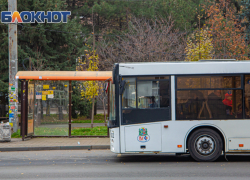 Крупнейшего автобусного перевозчика Ростова требуют обанкротить из-за долгов за топливо