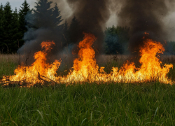 В Ростовской области объявлен высокий уровень пожарной опасности