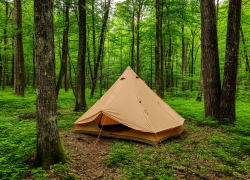 Фейк о массовом «бегстве в леса» ростовчан от мобилизации опровергнут