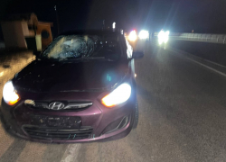 Водитель легковушки сбил пешехода на трассе в Ростовской области