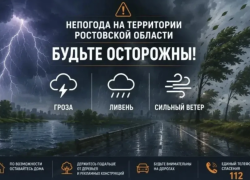 Ливни с грозами накроют Ростовскую область в течение суток