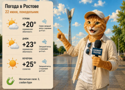 Рабочая неделя в Ростове начнётся с облачной погоды и до +25 градусов