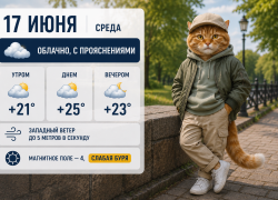 Слабый ветер и переменная облачность ожидается в Ростове