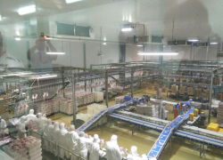 Активы «Евродона» могут уйти совместному предприятию его конкурентов