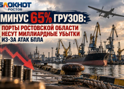 Минус 65% грузов: порты Ростовской области несут миллиардные убытки из-за атак БПЛА