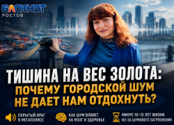 Тишина на вес золота: почему городской шум не дает нам отдохнуть? 