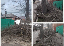 «Третьи сутки безвылазно сидим»: в Ростове срезанные ветки деревьев перегородили проезжую часть и заблокировали людей в доме 