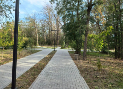 В Аксае продолжают обновлять улицу Ермака: аварийные деревья заменят новыми