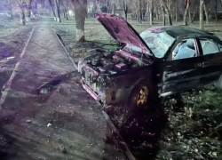 Пьяного водителя без прав, погубившего молодую девушку в ДТП, отправили в СИЗО в Ростовской области