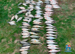 Браконьер в Ростовской области должен выплатить более 6,6 млн рублей за незаконный вылов рыбы