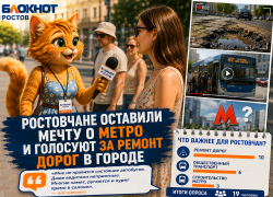 Ростовчане оставили мечту о метро и голосуют за ремонт дорог в городе