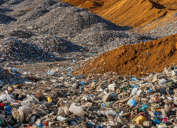 Деятельность полигона в Семикаракорском районе прекращена