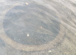 Уникальную находку обнаружили поисковики на дне Донца в Ростовской области