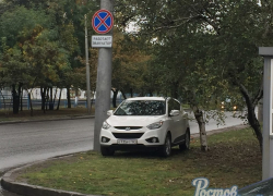 С вводом платных парковок водители Дона паркуются на газонах