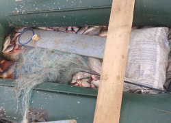 В Ростовской области поймали браконьеров с незаконным уловом на 100 тысяч рублей