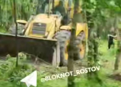Бастрыкин поставил на контроль вопрос о вырубке рощи в донском хуторе 