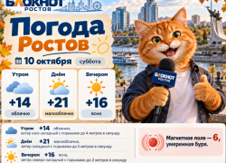 До +21 градуса прогреется воздух в Ростове 10 октября