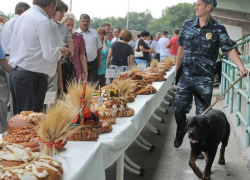 Ростовские власти уменьшили прожиточный минимум для детей на 145 рублей