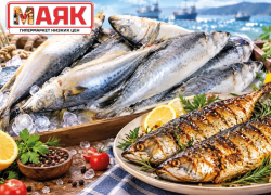 Товар дня: скумбрия свежемороженая за 359,90 ₽/кг