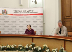 Власти Ростова скоординировали работу всех служб в новогоднюю ночь