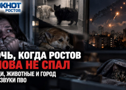 Ночь, когда Ростов снова не спал: люди, животные и город под звуки ПВО