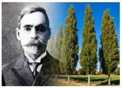 Календарь: 120 лет со дня подарка ростовчанам от купца Бахчисарайцева 