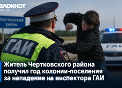 Житель Ростовской области отправится в колонию-поселение за драку с сотрудником ГАИ
