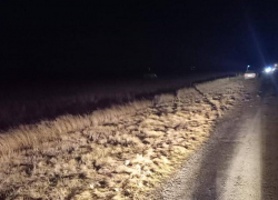 В Ростовской области водитель иномарки погиб на трассе после жесткого заноса