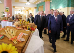 Ростовская область в 2023 году собрала рекордный урожай зерновых в 16 млн тонн