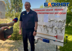 В Ростовской области нашли 30 тонн опасной рыбы на почти 10 млн рублей 