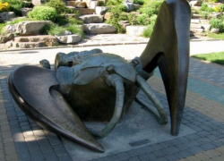 Жители дона хотят видеть на новых купюрах Ростов, Новочеркасск и раков