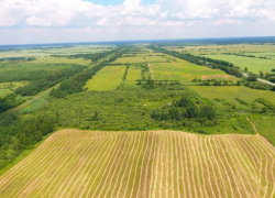 ФАС разрешила «Группе Агроком» Саввиди приобрести два агрокомплекса в Ростовской области