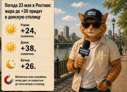 Жара до +28 накроет Ростов 23 мая
