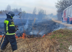 В Ростовской области пройдут плановые выжигания травы 28 апреля 