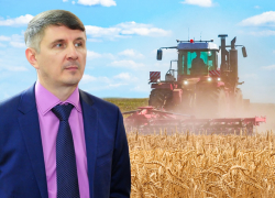 Аграрии Дона могут потерять миллиарды: эксперт рассказал, как засуха ударит по урожаю и ценам