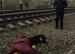 Перебегавшая железную дорогу женщина погибла под колесами поезда в Ростовской области
