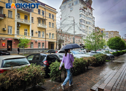 Пасмурно и дождливо будет в Ростове 3 апреля