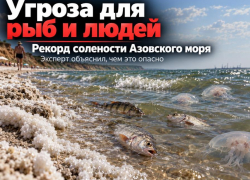 Угроза для рыб и людей: эксперт рассказал, чем опасен исторический рекорд солености Азовского моря