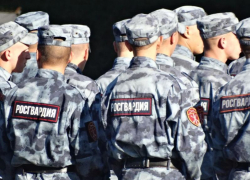 В Росгвардии опровергли падение дрона на территории военной части в Ростовской области