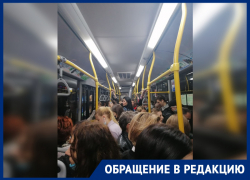 После оптимизации графика общественного транспорта в Ростове давка в автобусах стала больше