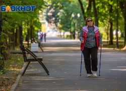 В Ростове планируют увеличить число пешеходных улиц