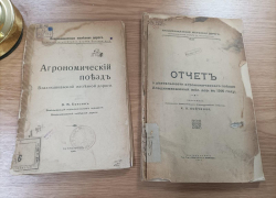 Планировали обеспечить яйцами всю Европу, боролись с пчелами и просвещали: до революции по Дону курсировал необычный поезд