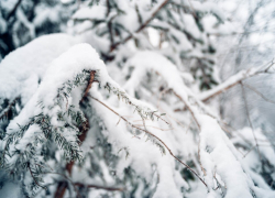 Зимой в Ростовской области прогнозируются рекордные снегопады