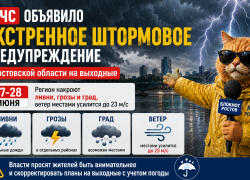 МЧС объявило экстренное штормовое предупреждение в Ростовской области на выходные