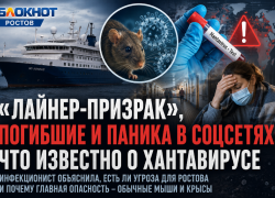 «Лайнер-призрак», погибшие и паника в соцсетях: что известно о хантавирусе и есть ли угроза для Ростова