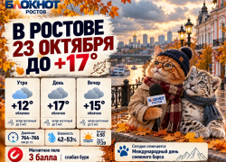 В Ростове 23 октября ожидается облачная погода и потепление до +17 градусов