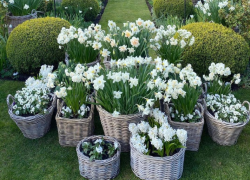 21 марта – День гармонии: как ростовчанам создать уютный уголок отдыха дома и на даче