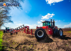 Климатолог не видит пользы донским аграриям от предстоящих кратковременных дождей