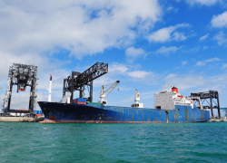 Из Ростовской области в Турцию экспортировали 11,4 тыс тонн кормов за неделю 