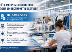 Донские предприятия лёгкой промышленности вложили почти 190 млн рублей в модернизацию
